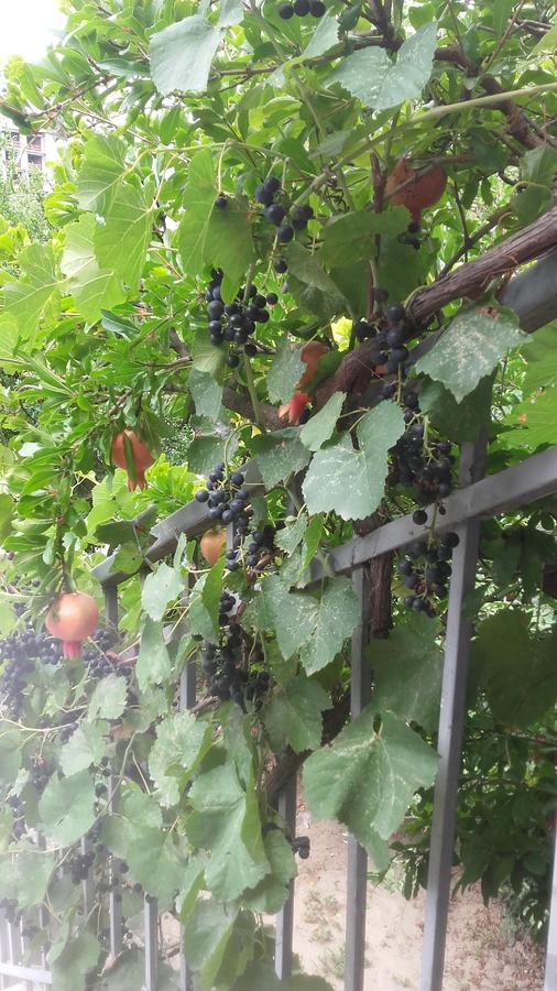 Домик У Реки Куры Tbiliszi Kültér fotó